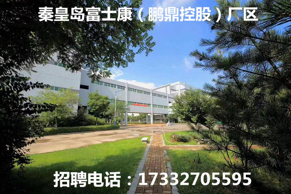 秦2_副本.jpg